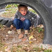Palmer joined the competition — help win amazing prizes! autumn, casual_clothing, child, crouching, curious, daylight, eyes, face, grass, hidden, jeans, leaves, nature, outdoor, person, playground, shoes, sweater, tire, young