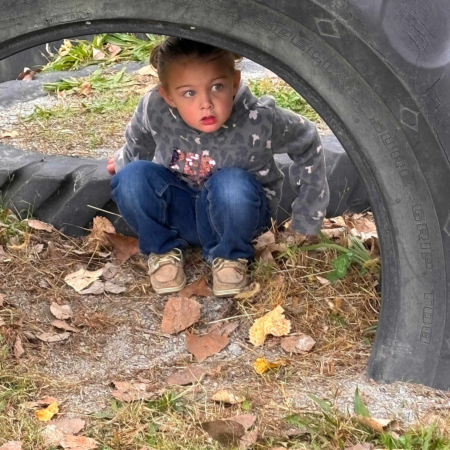 Palmer joined the competition — help win amazing prizes! autumn, casual_clothing, child, crouching, curious, daylight, eyes, face, grass, hidden, jeans, leaves, nature, outdoor, person, playground, shoes, sweater, tire, young