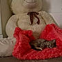 kitten, cat, sleeping, blanket, red_blanket, plush_toy, teddy_bear, stuffed_animal, indoor, cozy, soft, cute, resting, furry, animal, pet, carpet, floor, relaxed, home