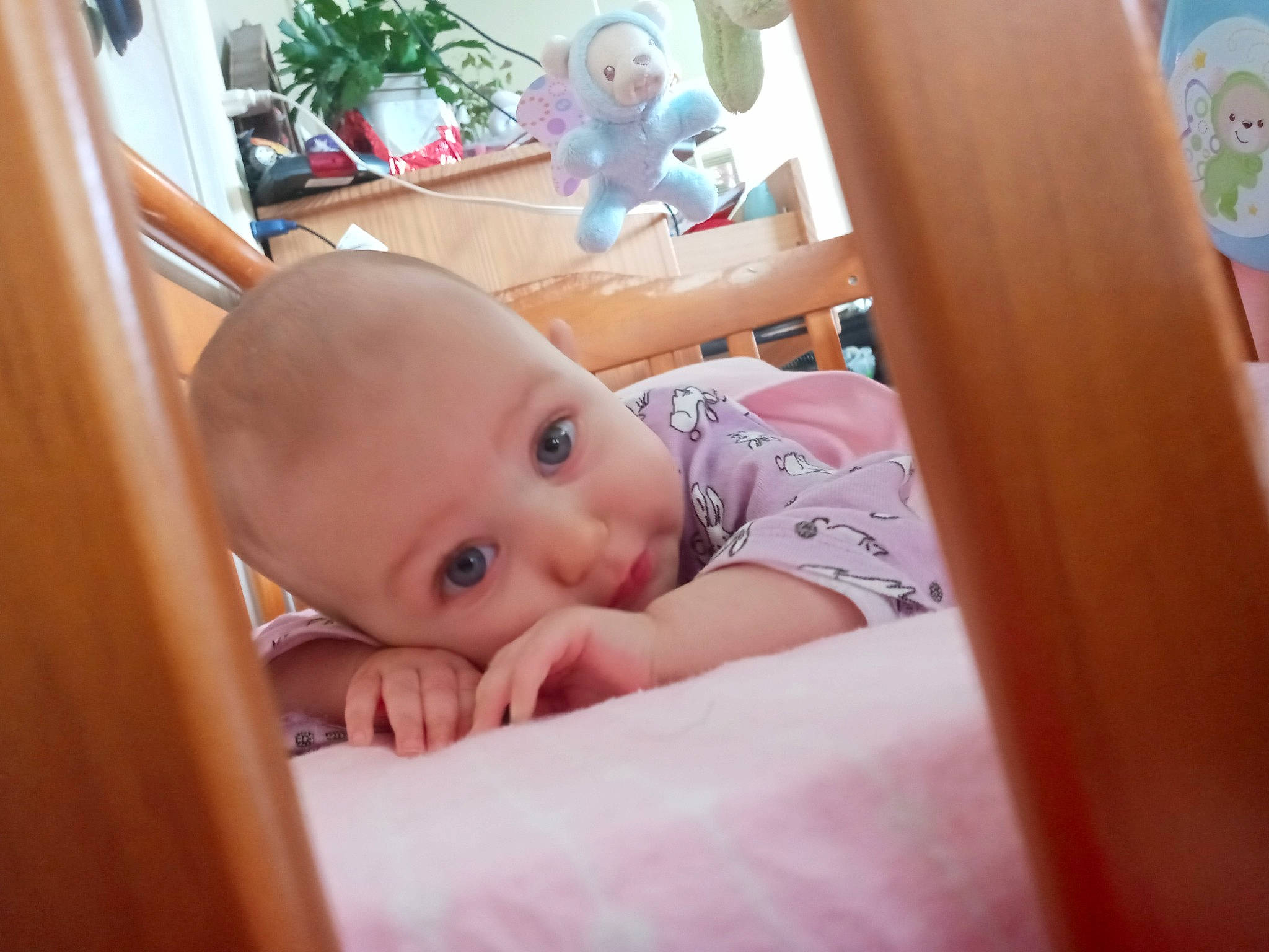 Khole joined the competition — help win amazing prizes! baby, baby_products, baby_toddler_clothing, cheek, child, comfort, flooring, fun, happy, hardwood, person, room, shelf, sitting, smile, toddler, toy, wood