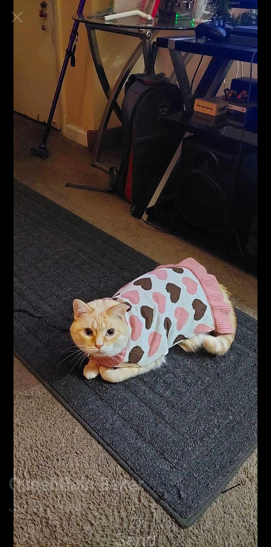 Tootsie