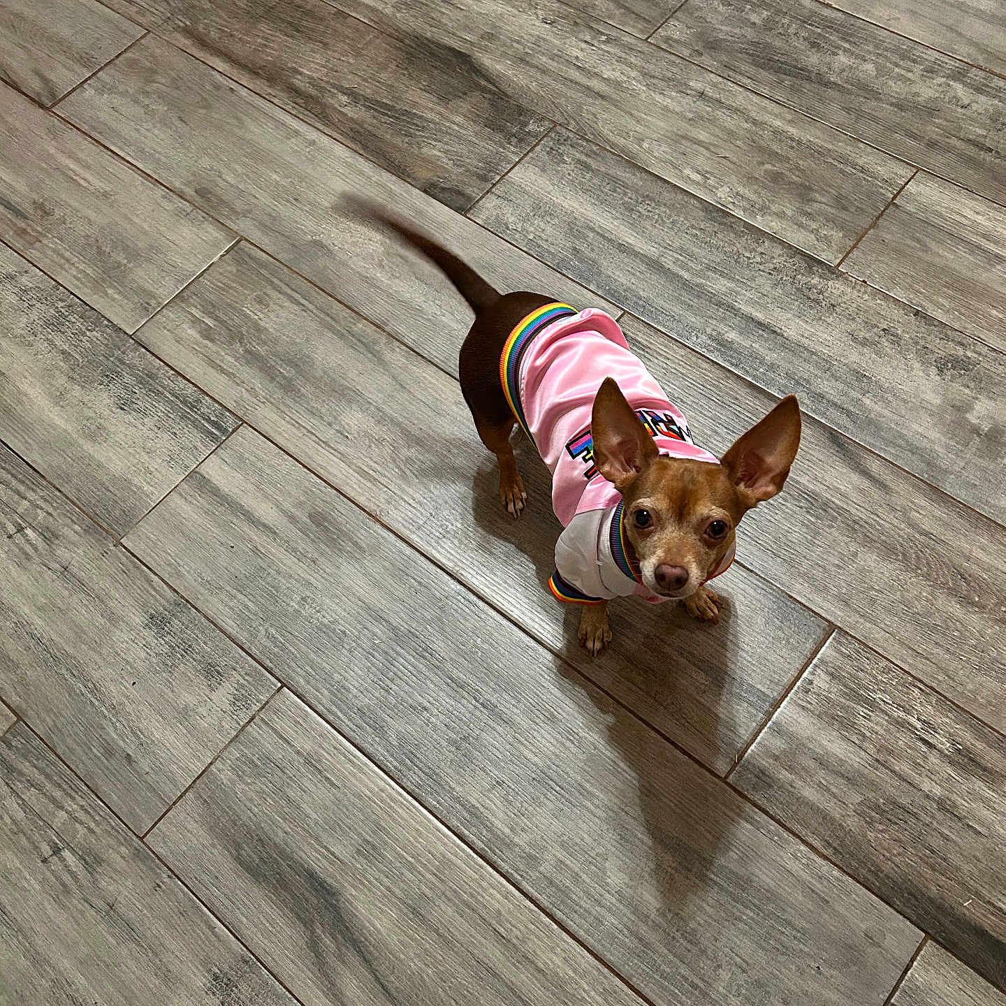 Sadie Marie