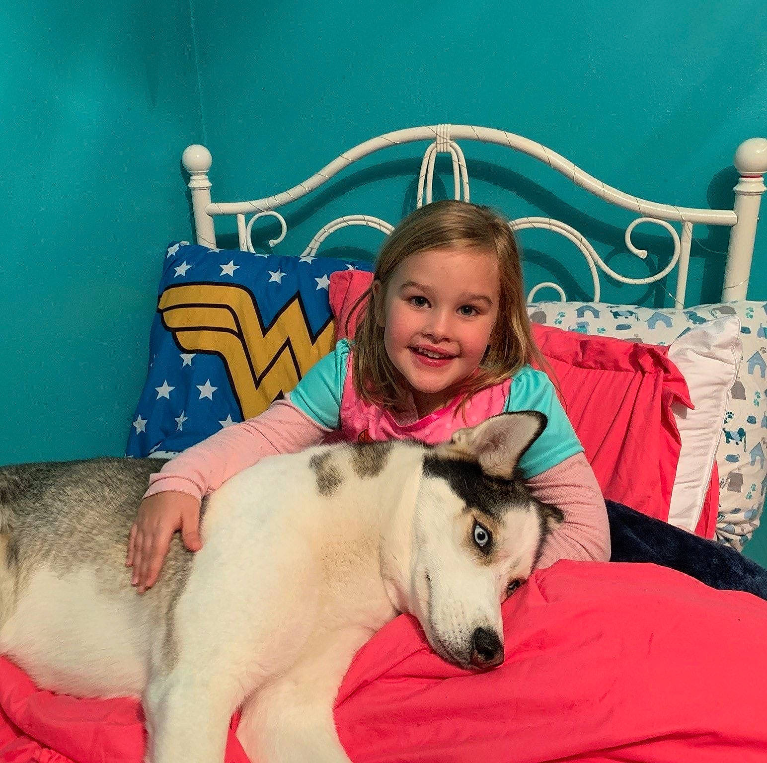 Stoli is registered to the contest to win money with this photo: canidae, carnivore, child, companion_dog, dog, dog_breed, ear, furniture, happy, mammal, puppy_love, siberian_husky, smile