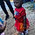 Mckenzie