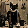 cat, black_cat, bathroom, shower, razor, towel, skincare_products, cream, comb, mug, countertop, pet_tag, good_boy, grooming, portrait, indoor, mirror, yellow_eyes, jar, pump_bottle