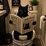 cat, black_cat, toilet, bathroom, newspaper, sweatpants, plant, towel, bathroom_rug, toilet_paper, sink, cabinet, funny, humor, pet, indoor, reading, sign, decor, animal
