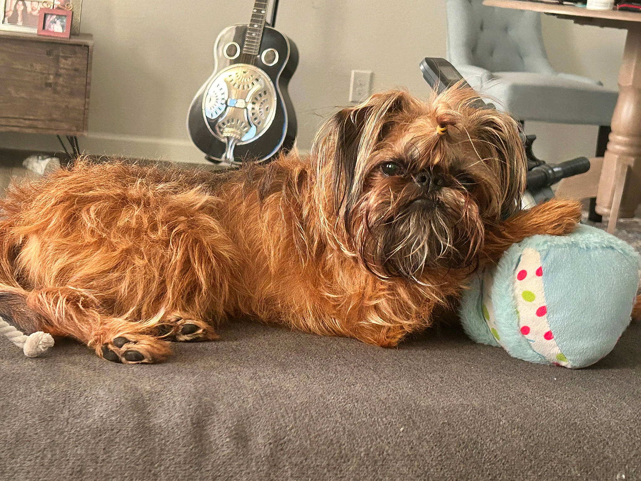 Sir Oliver Of Brussels