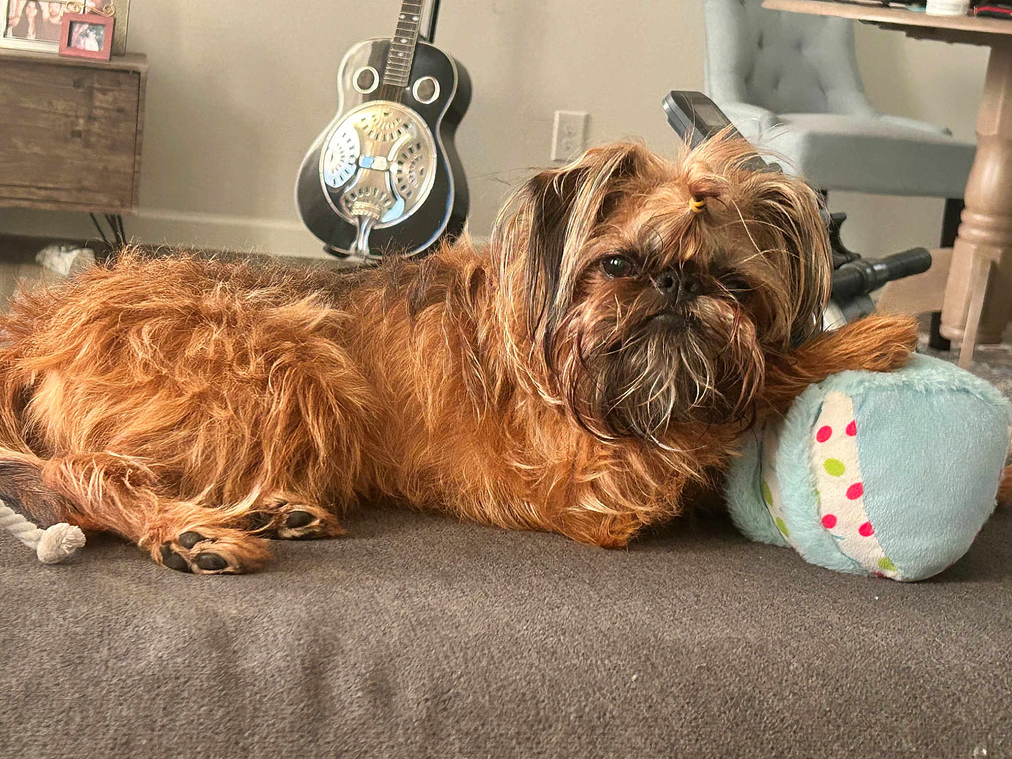 Sir Oliver Of Brussels