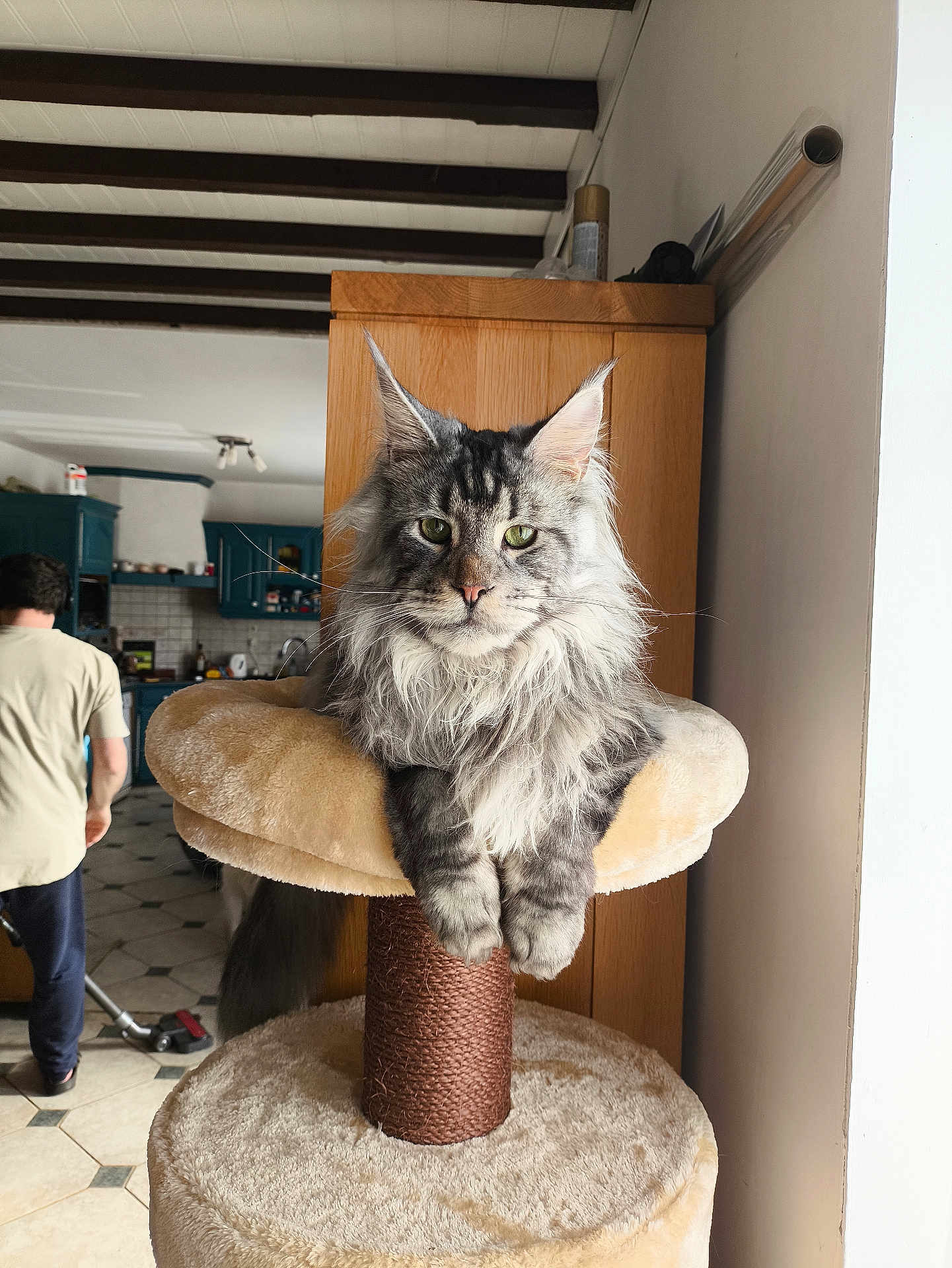 Winner De La Rêverie