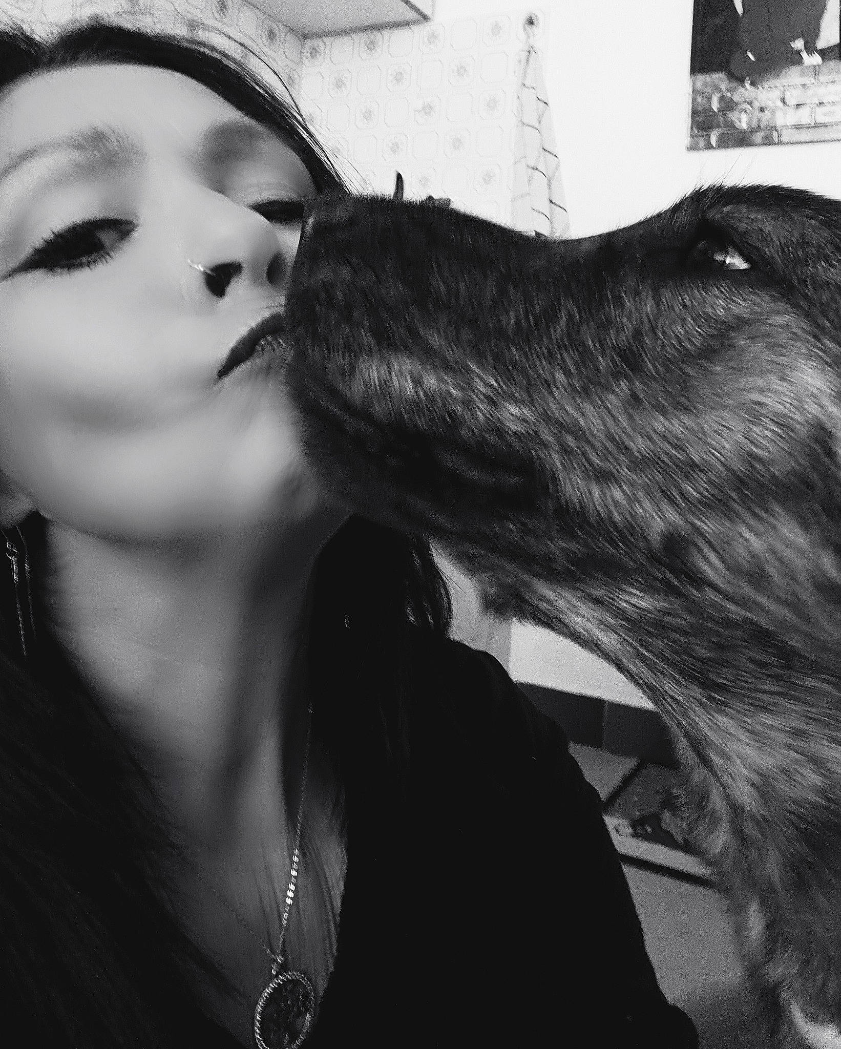 Uno a rejoint le concours — aidez-le/la à gagner de superbes lots ! black, black_and_white, carnivore, companion_dog, dog, dog_breed, ear, eyelash, flash_photography, gesture, happy, jaw, jewellery, long_hair, monochrome_photography, smile, snout, sporting_group, style, whiskers