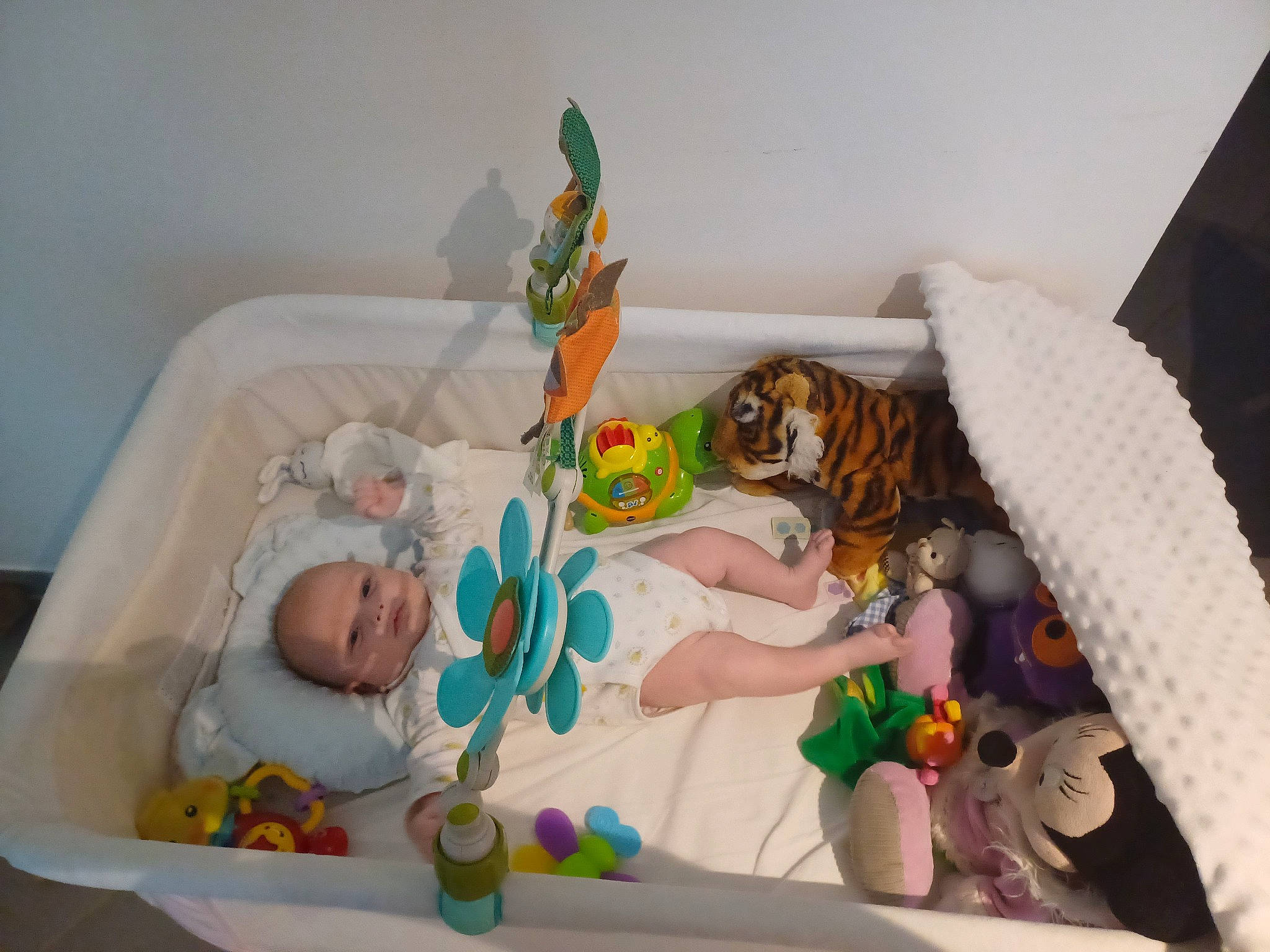 Mayronne a rejoint le concours — aidez-le/la à gagner de superbes lots ! art, baby, baby_products, baby_toys, bathing, bed, bed_sheet, bedding, child, comfort, felidae, infant_bed, linens, nursery, person, plastic, room, stuffed_toy, toddler, toy