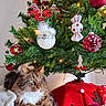 cat, christmas_tree, christmas_ornaments, red_ornaments, white_ornaments, holiday_decor, tree_skirt, reindeer_decoration, lights, sofa, fur, green_eyes, cozy, indoor, festive, pet, fluffy, relaxed, holiday, decorations