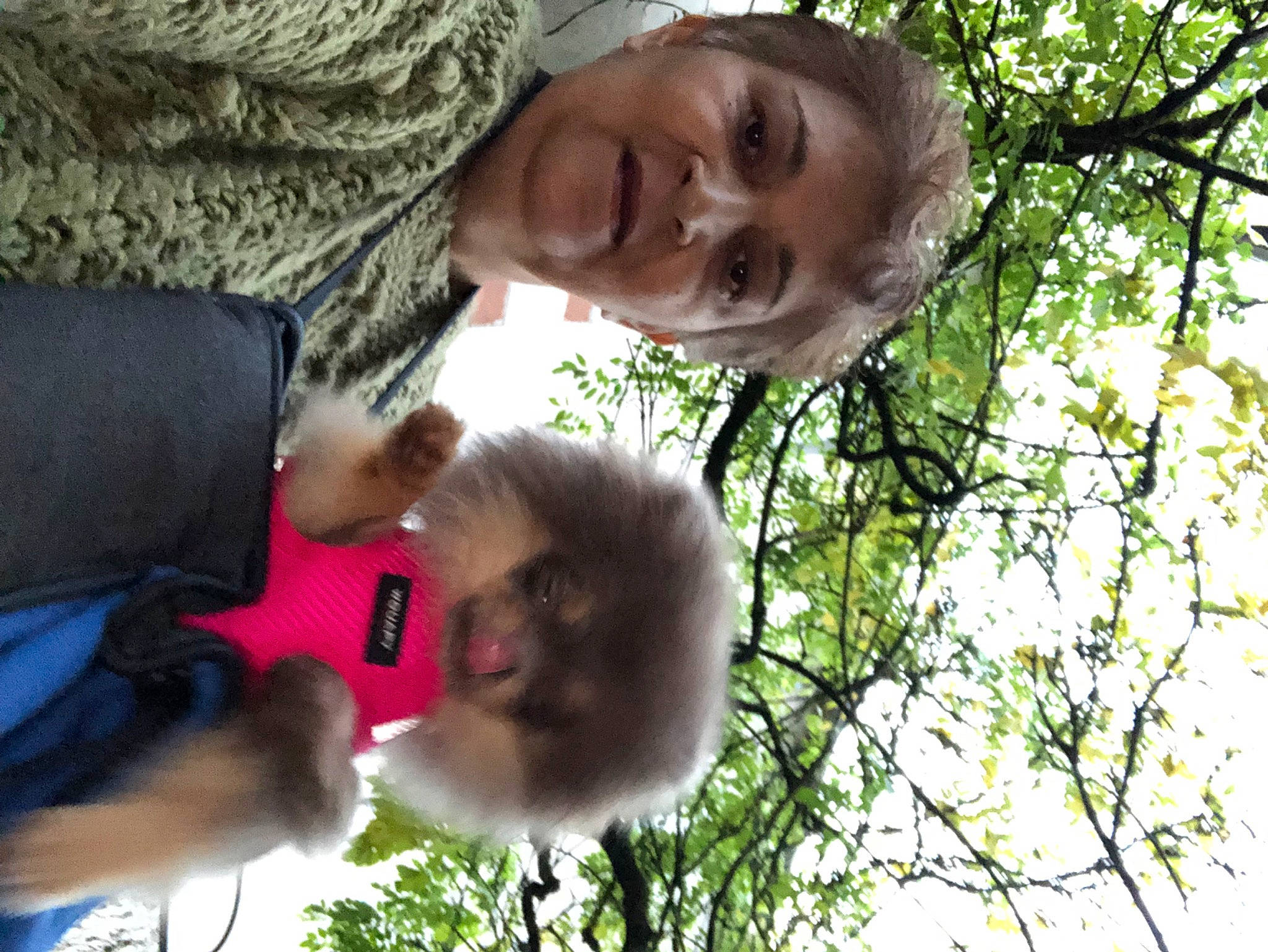 Tierra a rejoint le concours — aidez-le/la à gagner de superbes lots ! adventure, child, companion_dog, fun, fur, glasses, grass, happy, leisure, people_in_nature, plant, sky, sunglasses, toddler, tree, wildlife