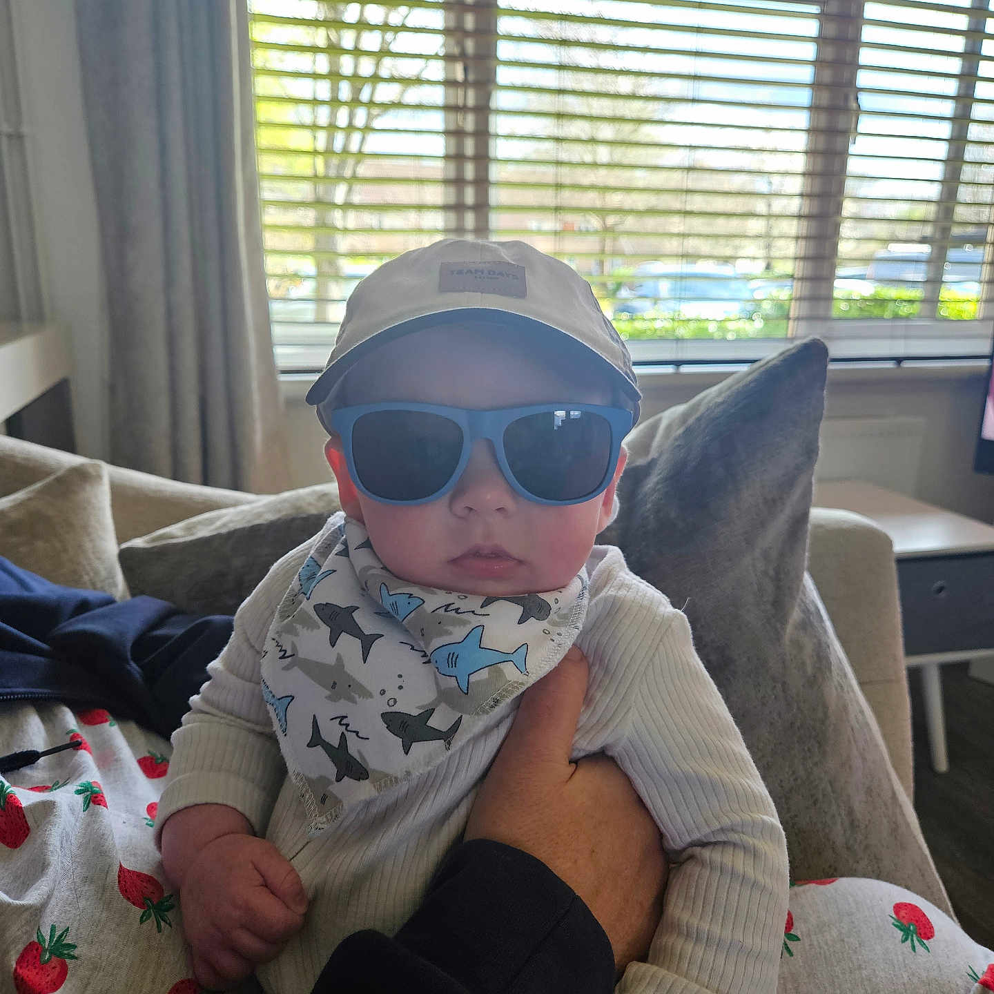Harry joined the competition — help win amazing prizes! accessories, architecture, baby, baseballcap, building, cap, clothing, couch, cushion, face, furniture, glasses, hat, head, homedecor, indoors, person, photography, portrait, sunglasses