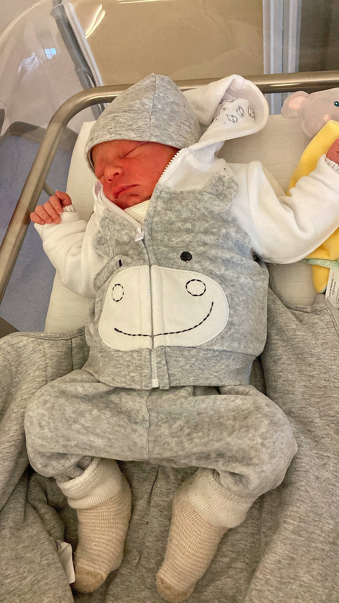 Tymeo participe au concours pour gagner de l'argent avec cette photo : baby, baby_products, baby_safety, baby_sleeping, baby_toddler_clothing, cheek, child, comfort, fur, headwear, hoodie, human_body, linens, person, plush, room, shelf, sitting, sleeve, stuffed_toy