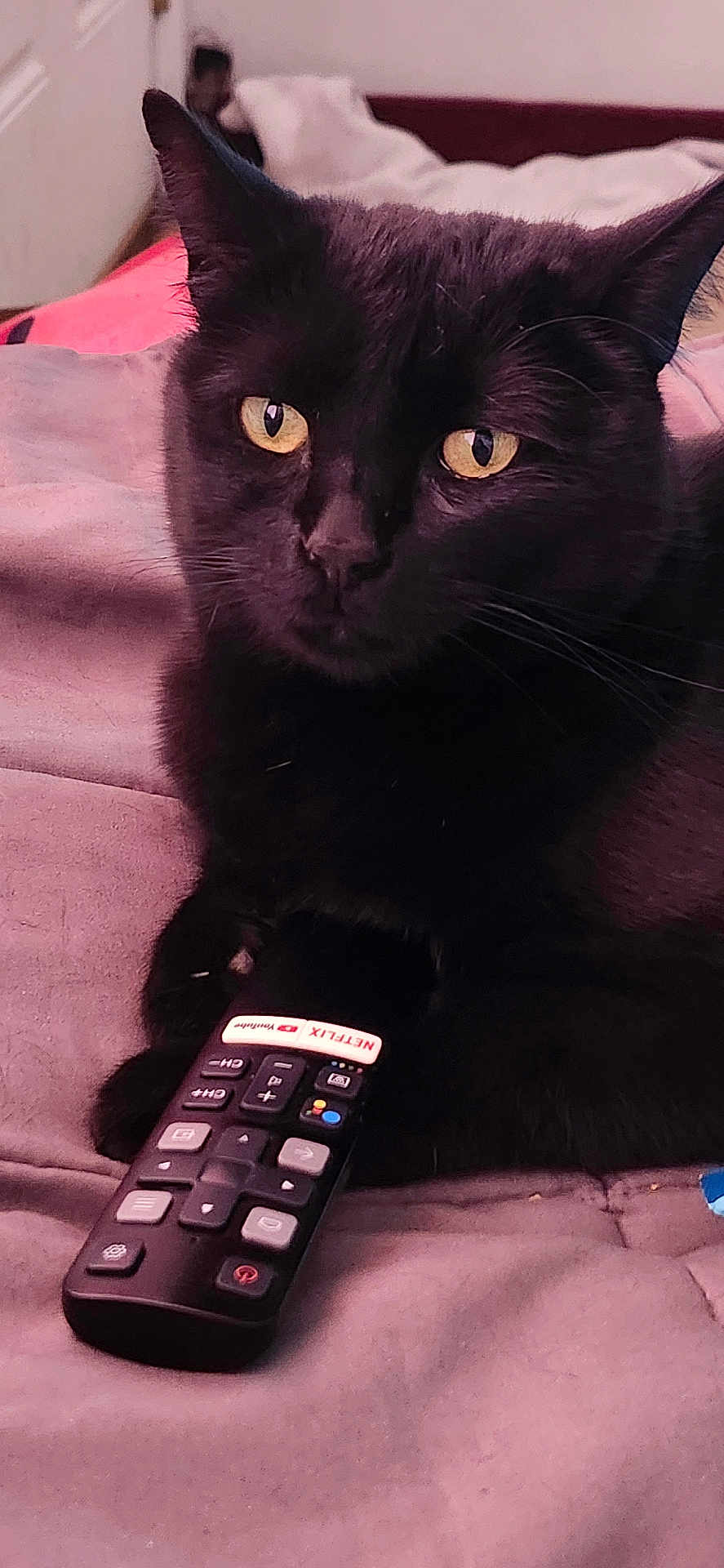 Sophie