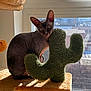sphynx_cat, cat, indoor, window, sunlight, scratching_post, cactus_shaped, furniture, pet, animal, hairless_cat, perch, urban_view, daylight, shadow, texture, curious, pet_furniture, domestic_cat, relaxed