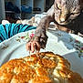 Martini is registered to the contest to win money with this photo: sphynx_cat, cat, hairless_cat, paw, claws, plate, biscuit, food, table, indoor, sunlight, furniture, shelf, towel, room, closeup, animal, pet, curious, breakfast