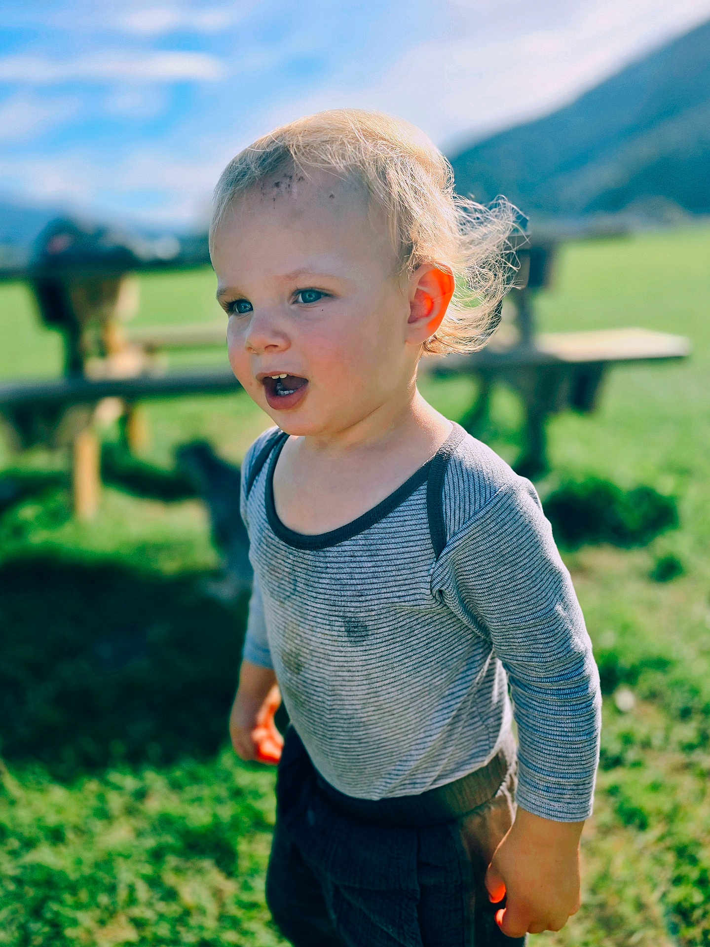 Ezio participe au concours pour gagner de l'argent avec cette photo : toddler, child, outdoor, grass, sunlight, blond_hair, striped_shirt, nature, picnic_table, blue_sky, greenery, casual_clothing, portrait, daylight, curious, young_child, expression, person, playful, background_blur