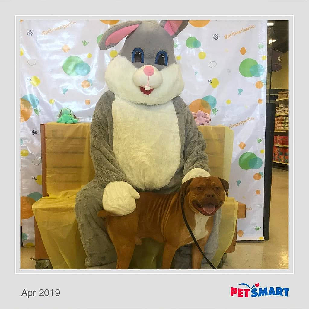 Butters is registered to the contest to win money with this photo: animated_cartoon, animation, art, baby_toys, companion_dog, fictional_character, fur, happy, mascot, photo_caption, picture_frame, plush, rectangle, room, stuffed_toy, teddy_bear, textile, toy, visual_arts, working_animal