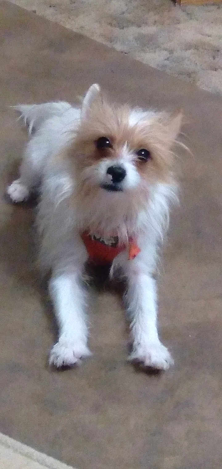 Charlie