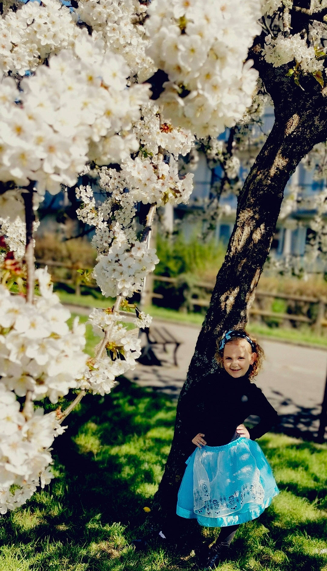 Lylou participe au concours pour gagner de l'argent avec cette photo : blue, botany, branch, dress, flower, grass, green, happy, joy, light, morning, nature, people_in_nature, person, plant, summer, sunlight, tree, twig, white