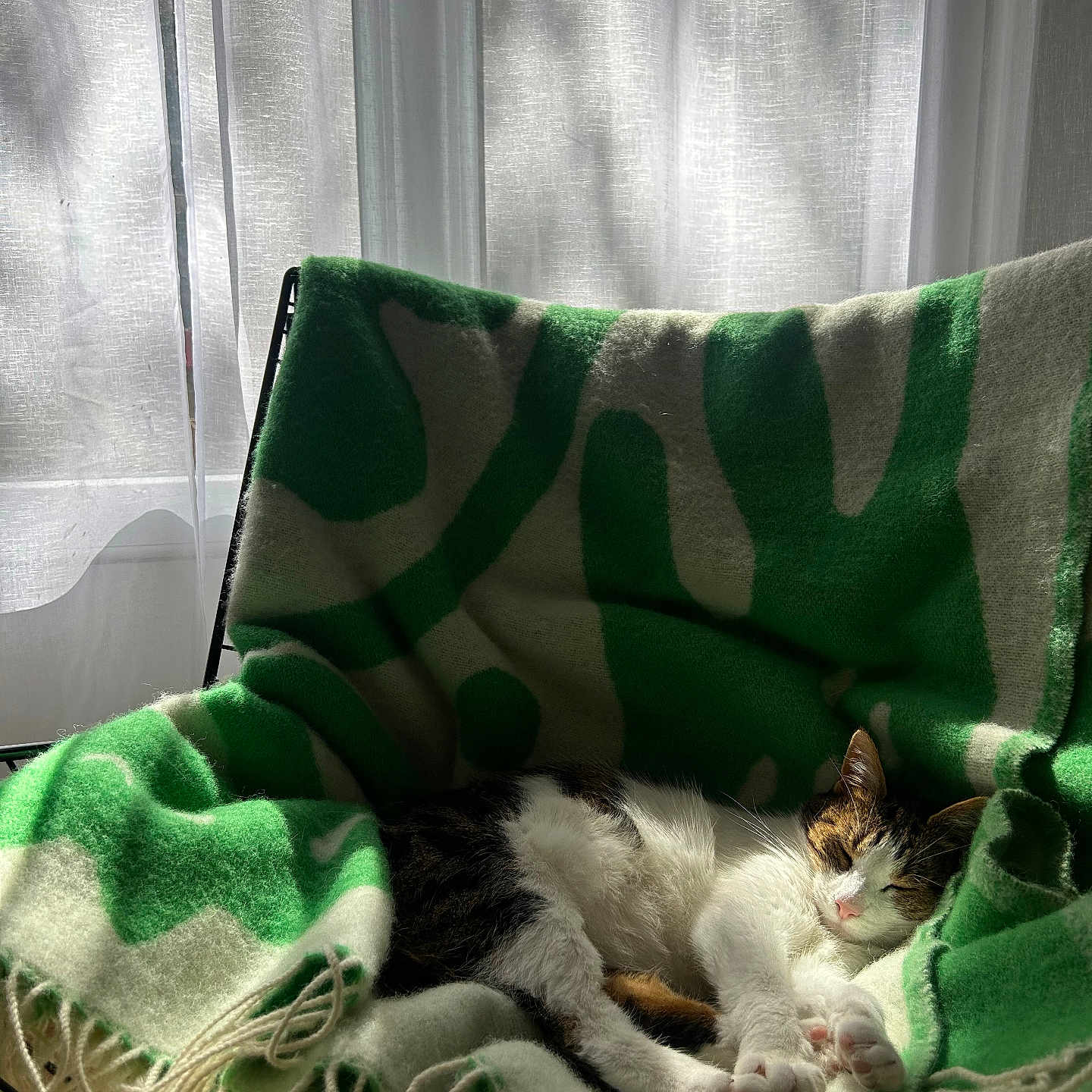 Ophélie