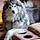 Koda