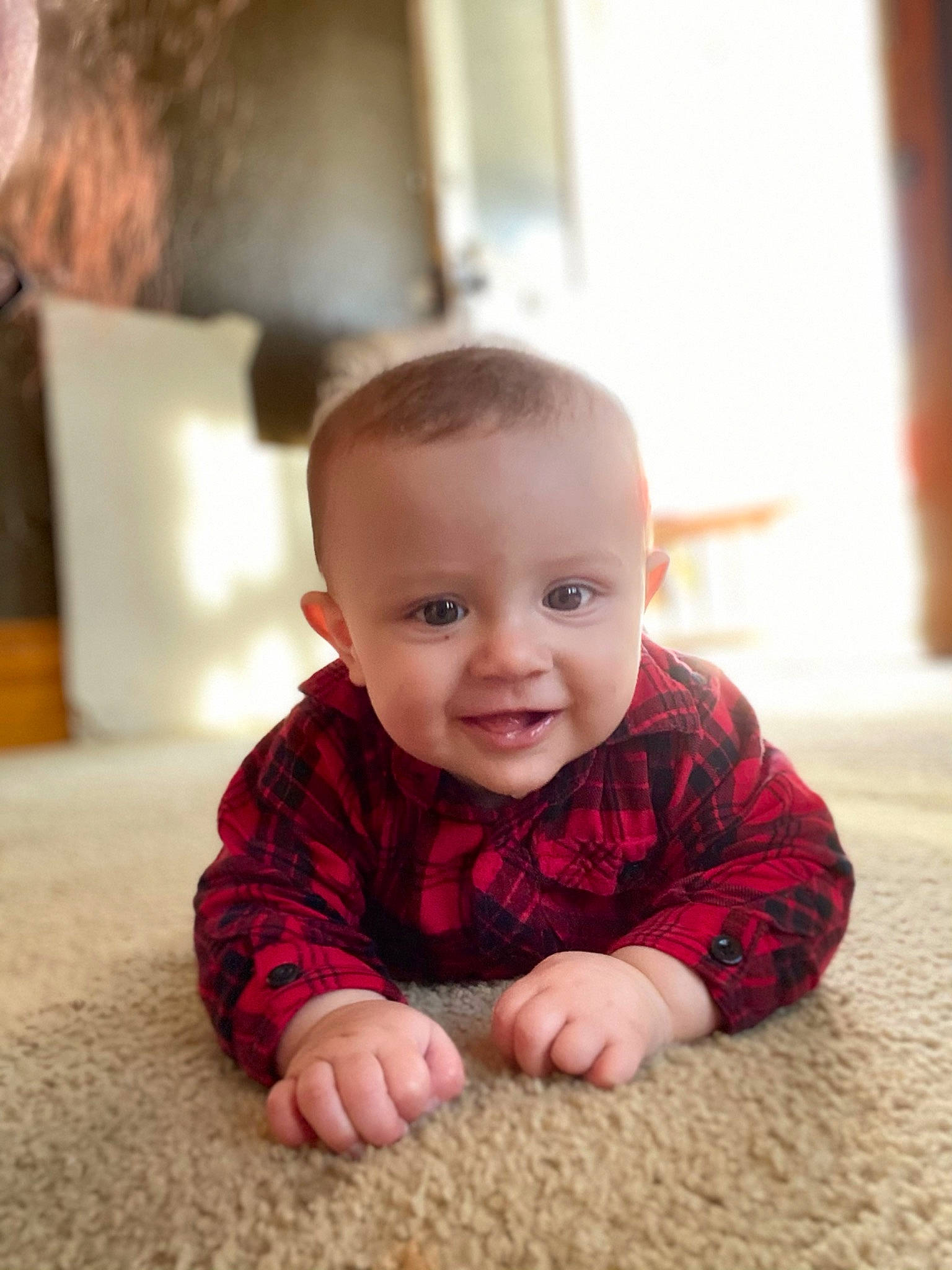 Elijah is registered to the contest to win money with this photo: baby, beauty, cheek, child, crawling, eye, face, facial_expression, floor, head, joy, leg, nose, people, person, photograph, photography, sitting, skin, smile