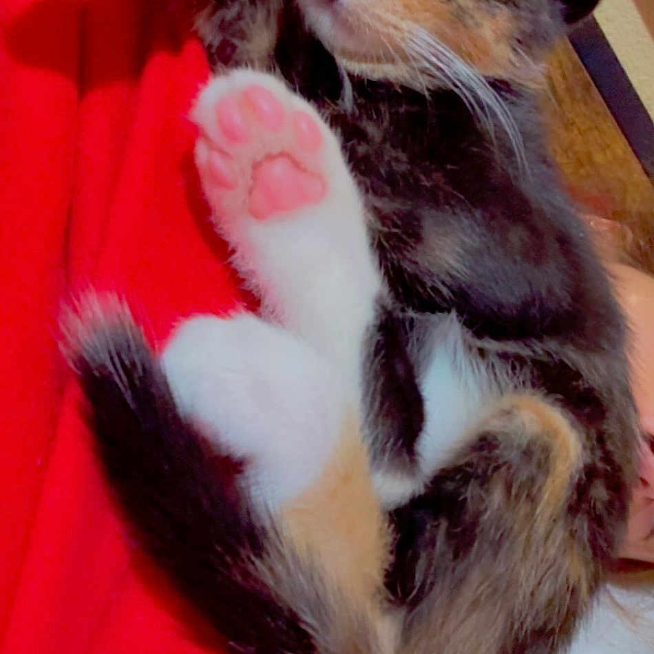 Twix