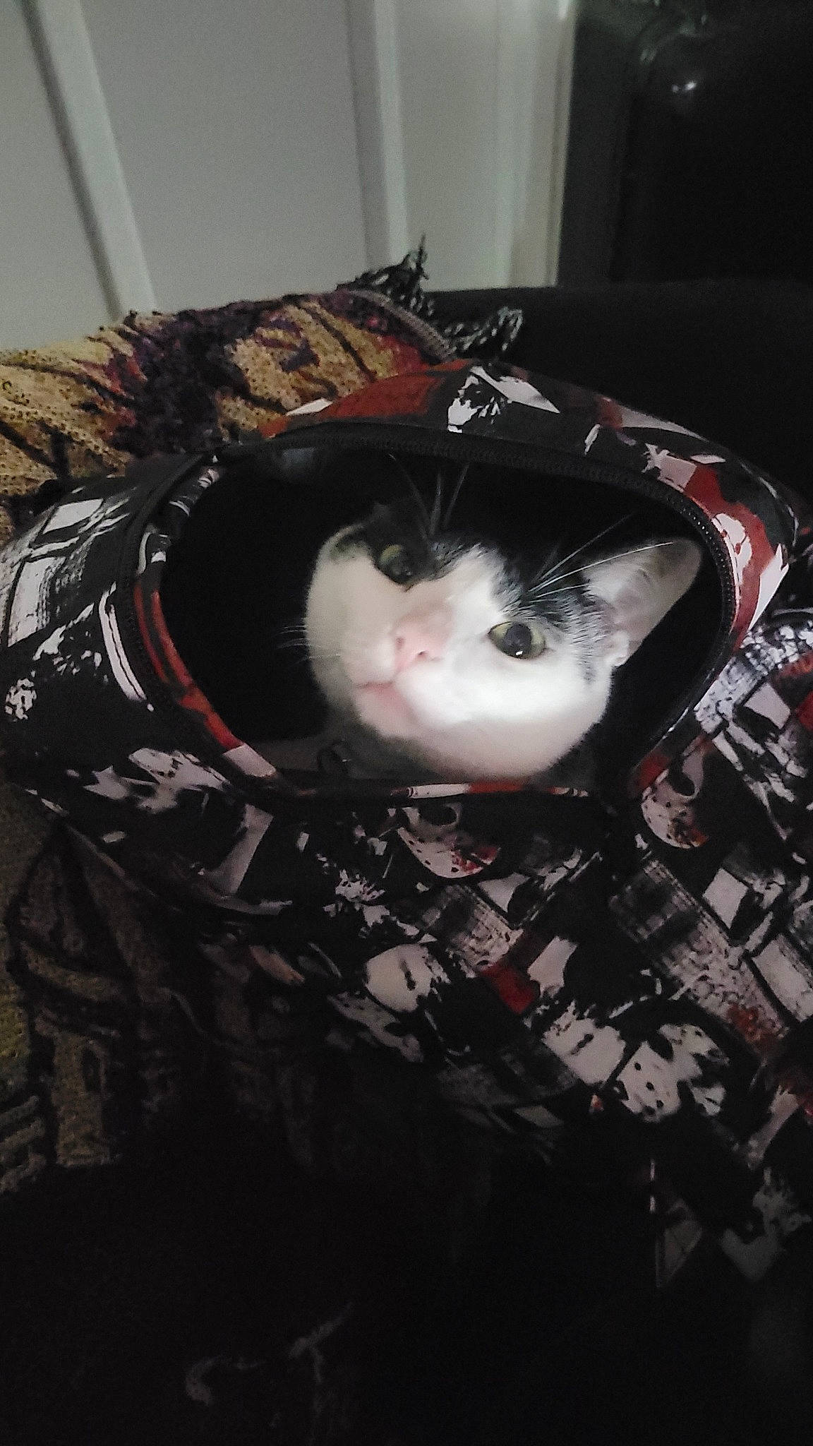 Bugsy is registered to the contest to win money with this photo: bangs, black_hair, carmine, child, costume, darkness, doll, eyelash, fashion_accessory, fictional_character, flash_photography, fur, goth_subculture, gothic_fashion, head, mask, pattern, personal_protective_equipment, toy, wig