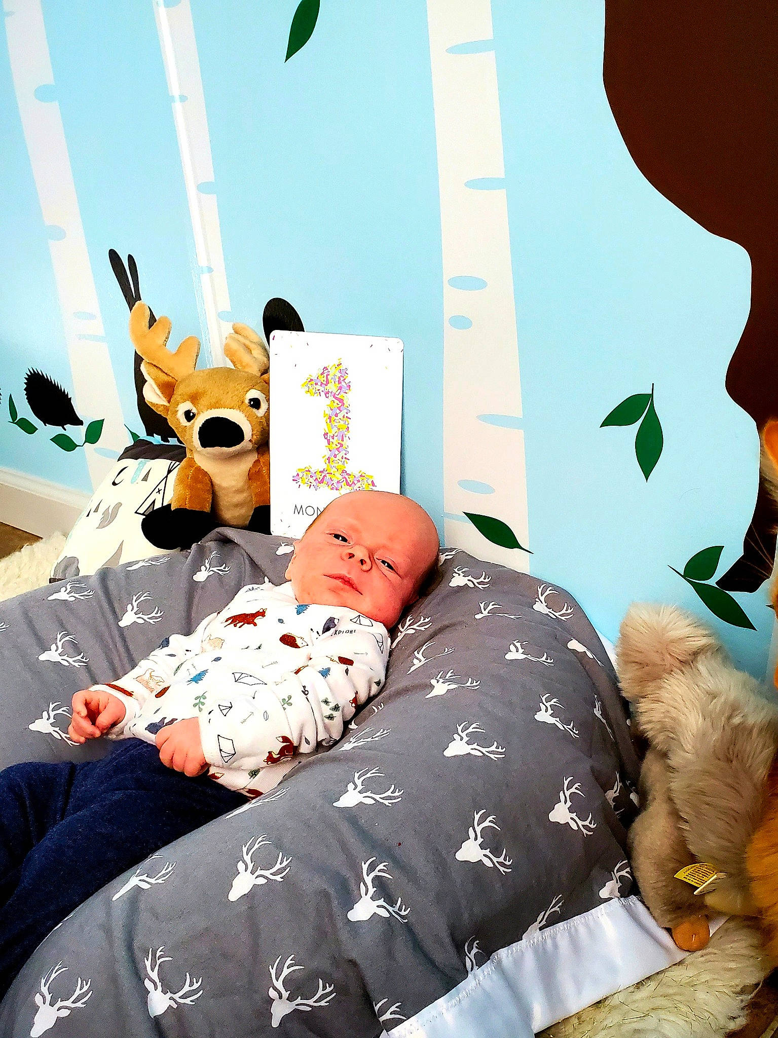 Shane joined the competition — help win amazing prizes! bed, bed_sheet, bedding, bedroom, child, comfort, font, graphic_design, happy, linens, mammal, orange, pattern, person, pillow, product, room, stuffed_toy, textile, throw_pillow