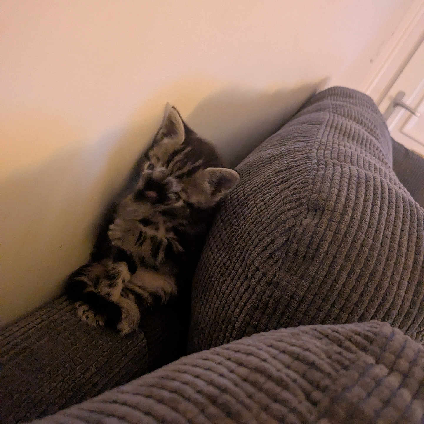 Peekaboo