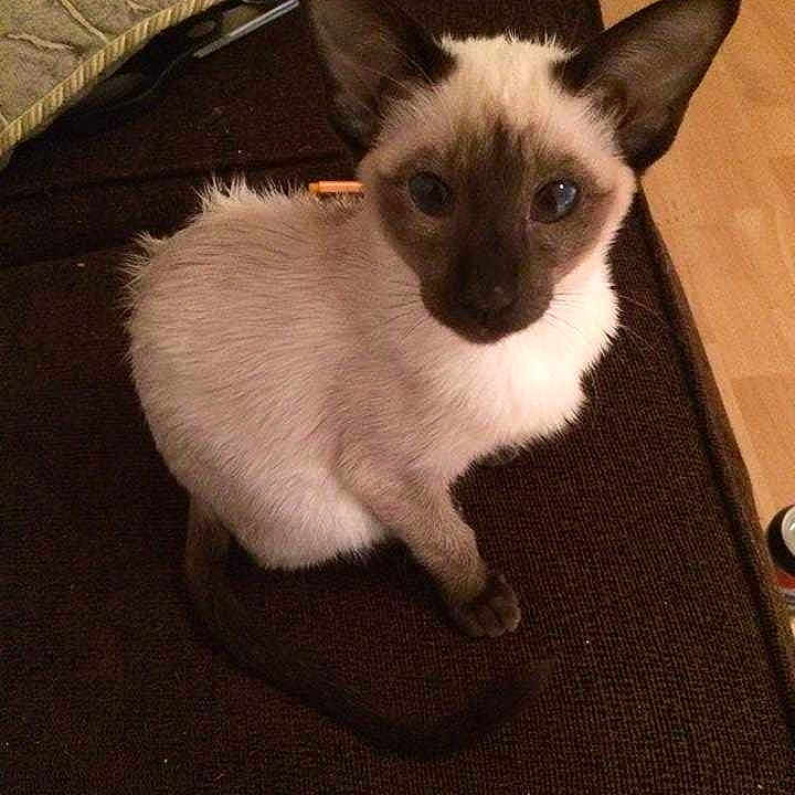 Polly is registered to the contest to win money with this photo: