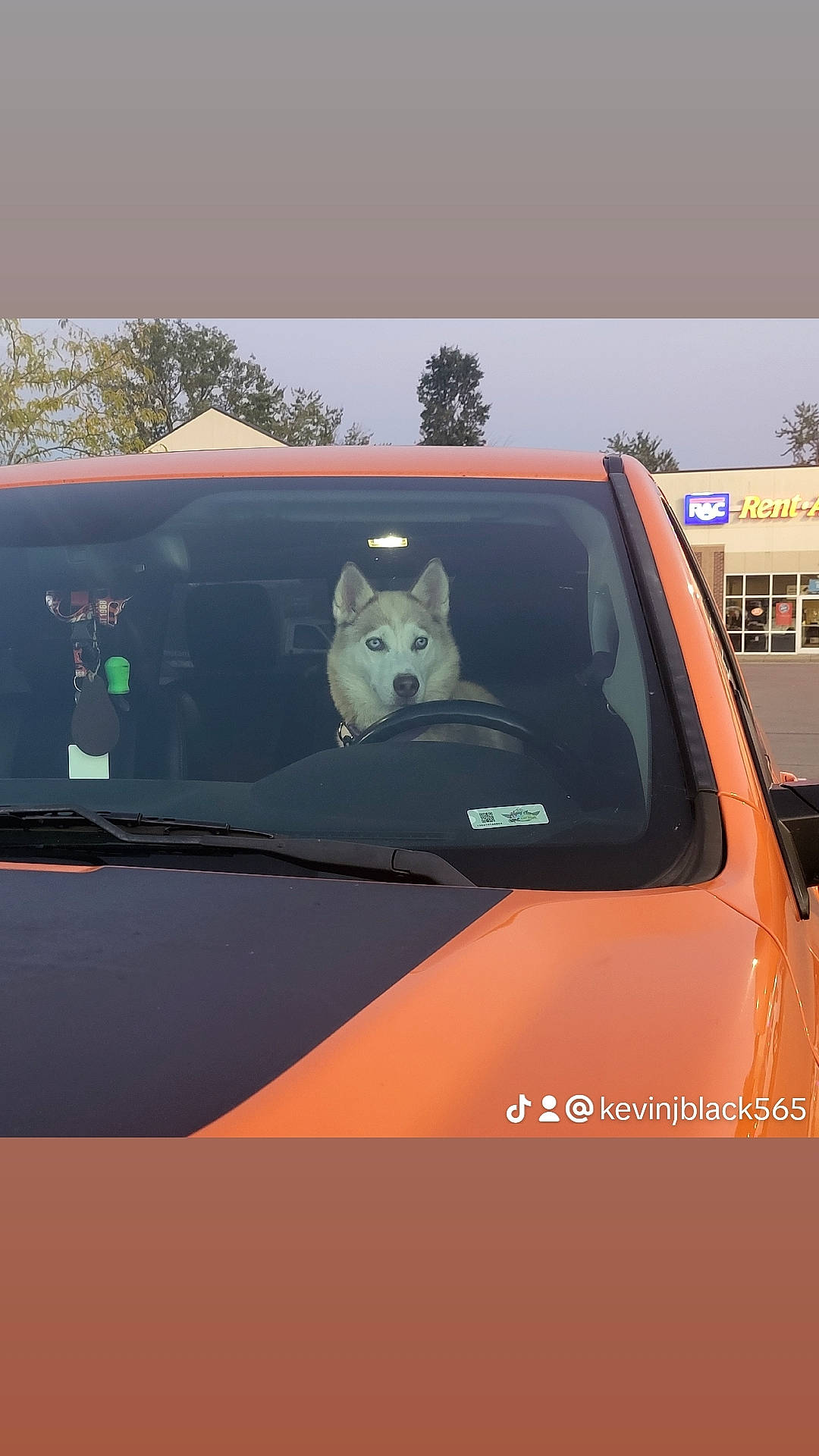 Luna Grace joined the competition — help win amazing prizes! automotive_carrying_rack, automotive_decal, automotive_design, automotive_exterior, automotive_lighting, automotive_mirror, automotive_tire, automotive_wheel_system, bumper, car, commercial_vehicle, hood, motor_vehicle, rear_view_mirror, sky, tree, vehicle, vehicle_door, window, windscreen_wiper