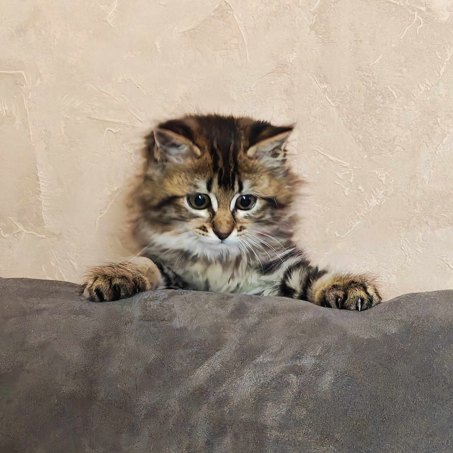 Naya