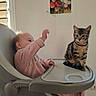 Pikachu a rejoint le concours — aidez-le/la à gagner de superbes lots ! baby, balloons, birthday, cat, cute, daylight, furniture, high_chair, home, indoors, infant, party, pet, pink_clothing, portrait, reaching, sitting, tabby_cat, wall_decor, window