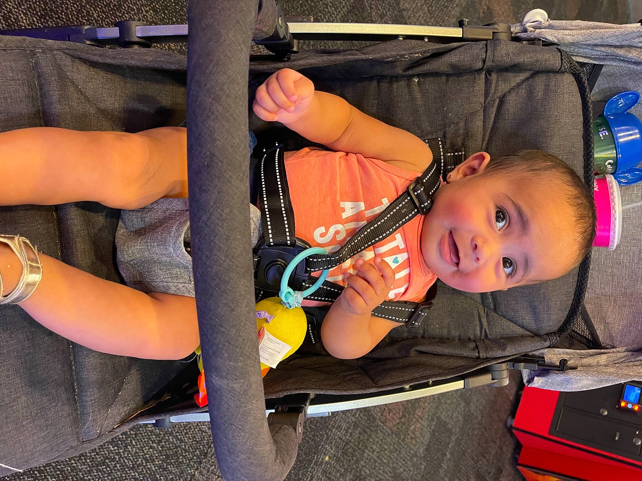 Esmeralda is registered to the contest to win money with this photo: auto_part, baby, baby_carriage, baby_products, chest, child, comfort, cool, elbow, electric_blue, fun, human_leg, knee, lap, person, product, shorts, thigh, toddler, wheel