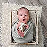 Kobe is registered to the contest to win money with this photo: baby, newborn, swaddled, basket, teddy_bear, blanket, rug, floor, cute, infant, child, portrait, soft, cozy, small, hands, feet, expression, indoor, wooden_floor