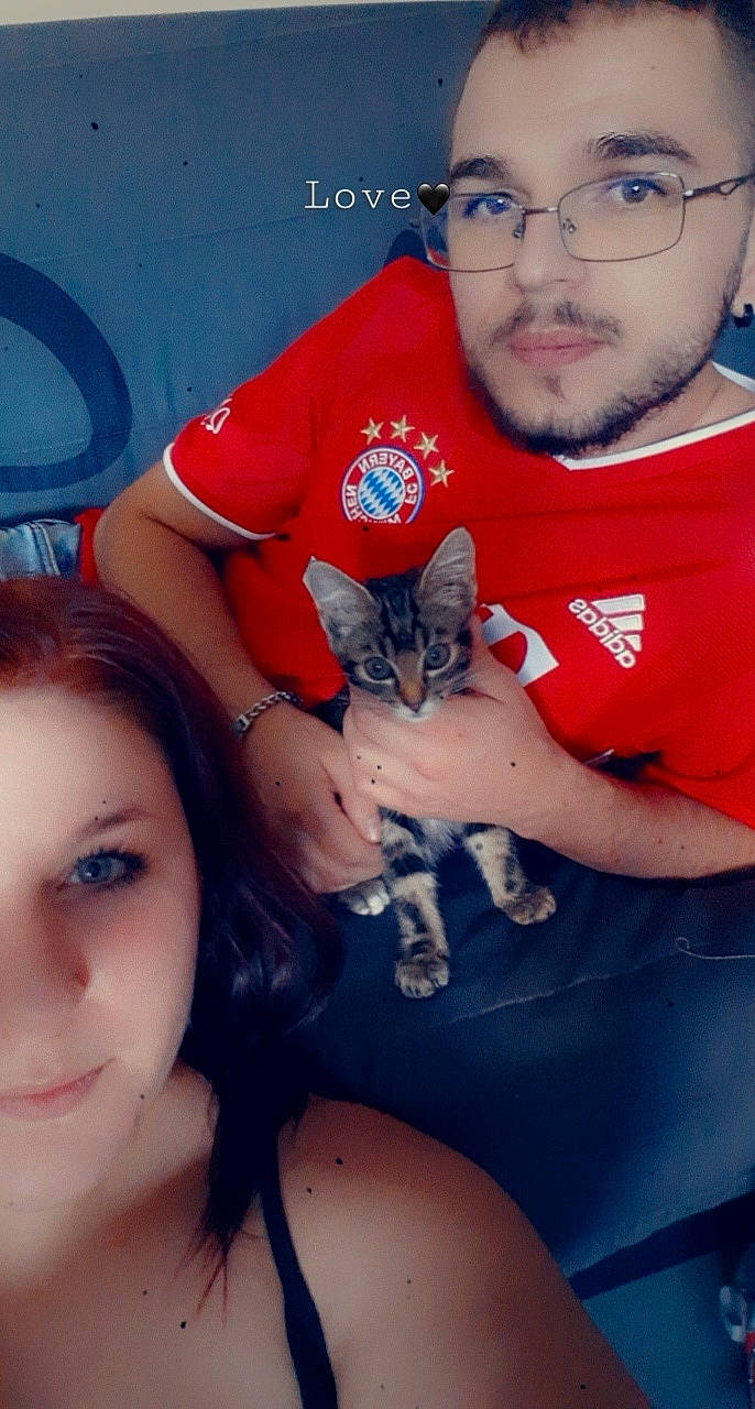 Pirate a rejoint le concours — aidez-le/la à gagner de superbes lots ! cat, photography