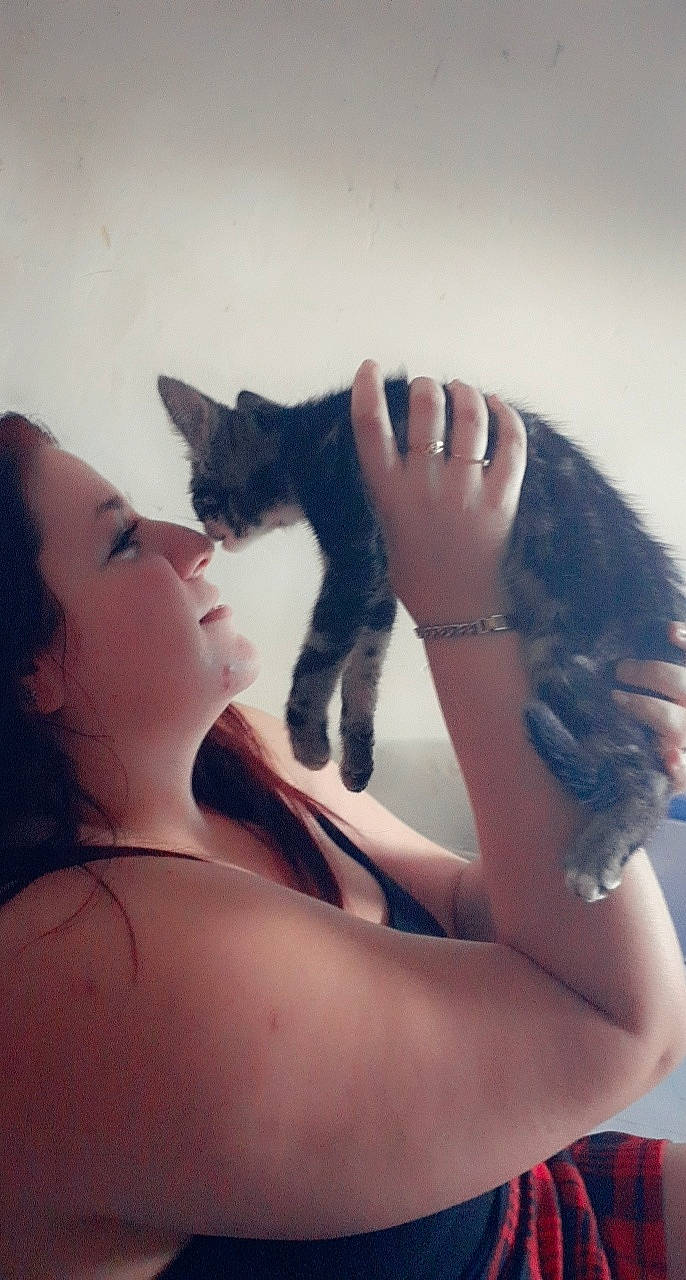 Pirate participe au concours pour gagner de l'argent avec cette photo : beauty, black_hair, carnivore, cat, ear, felidae, foot, fur, gesture, hand, human_leg, interaction, kitten, leg, long_hair, mouth, photography, skin, small_to_medium_sized_cats, whiskers