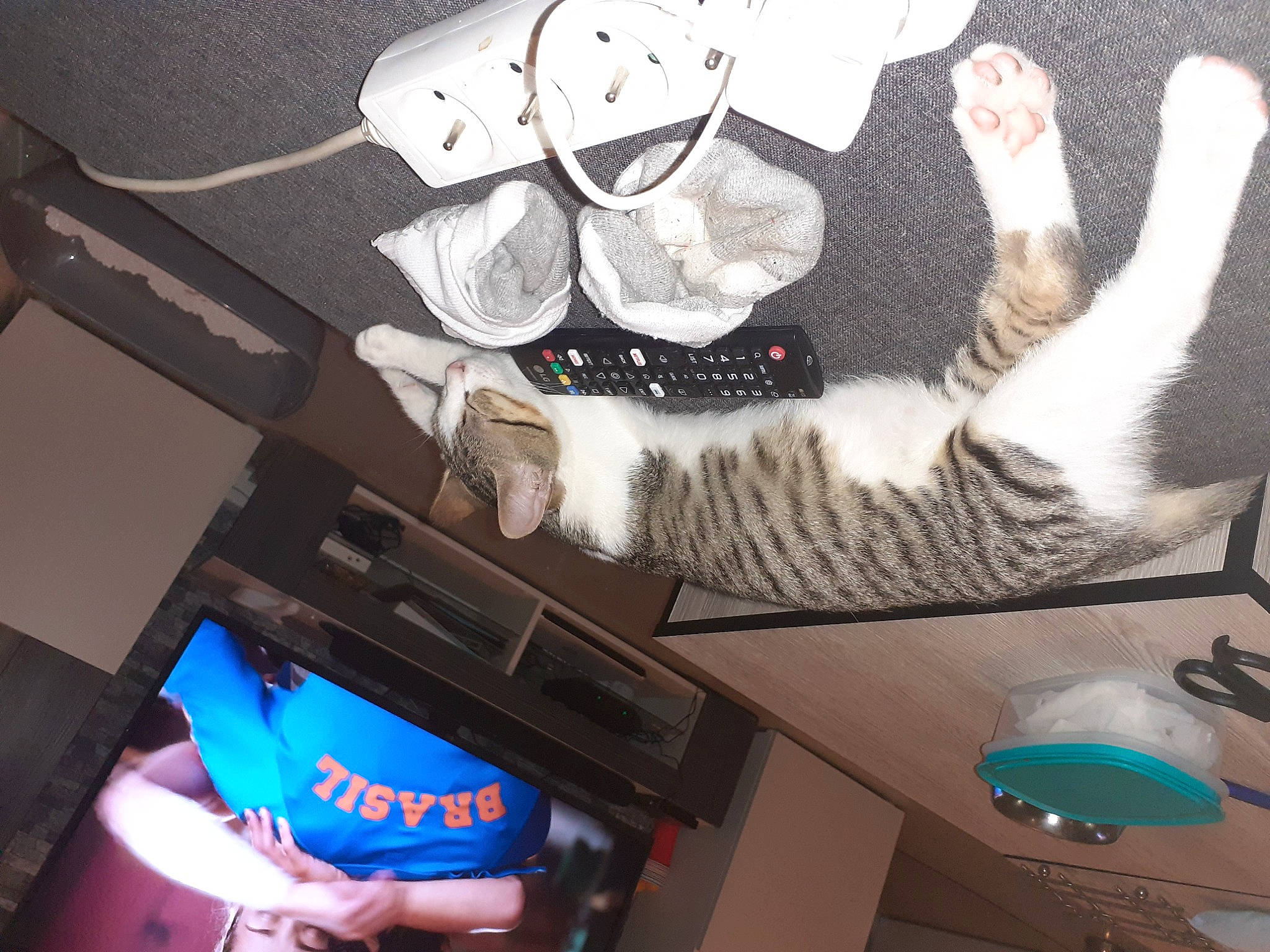 Papatton a rejoint le concours — aidez-le/la à gagner de superbes lots ! art, cat, illustration