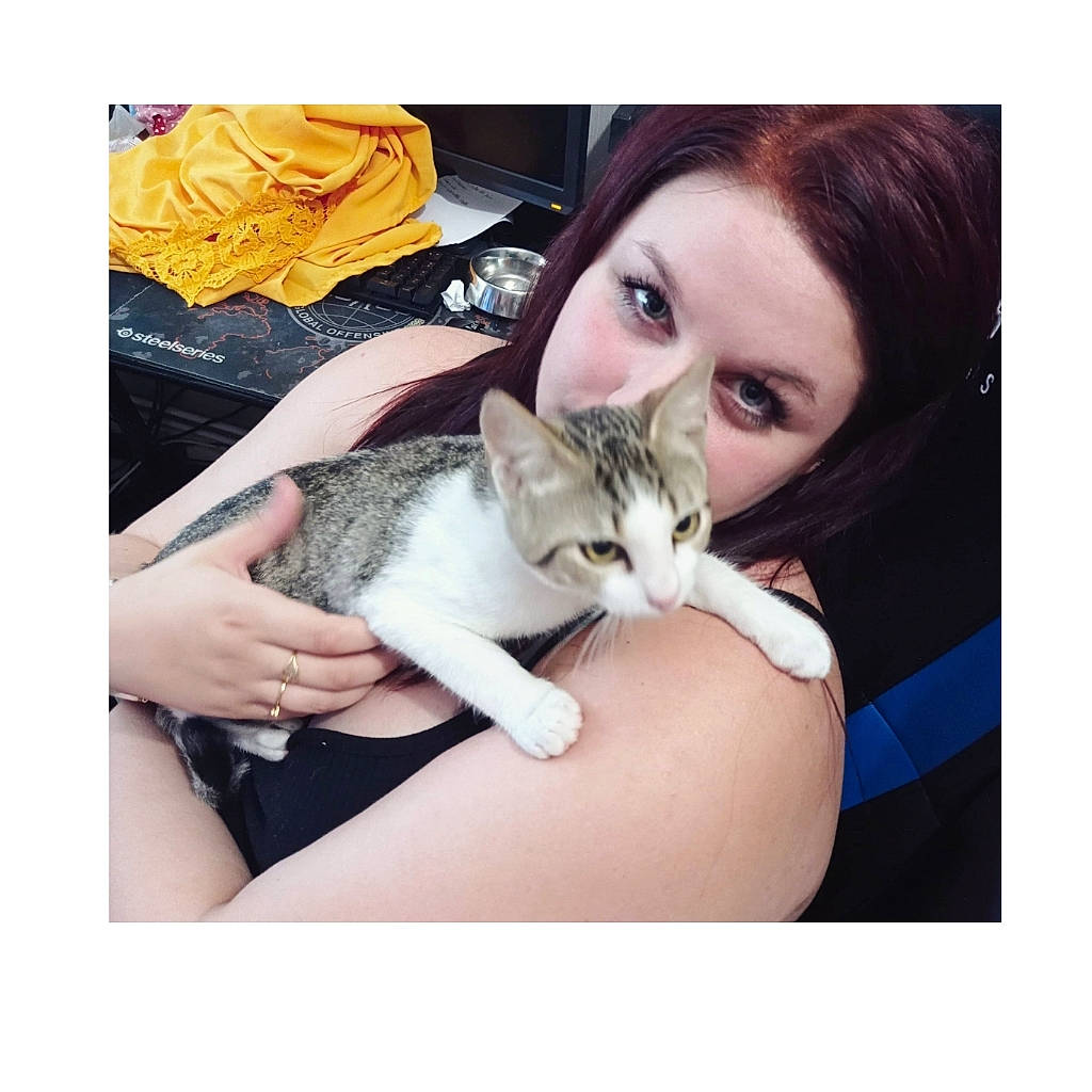 Papatton a rejoint le concours — aidez-le/la à gagner de superbes lots ! asian, carnivore, cat, domestic_short_haired_cat, ear, european_shorthair, felidae, fur, human, kitten, leg, mouth, nose, selfie, singapura, skin, small_to_medium_sized_cats, tabby_cat, thigh, whiskers