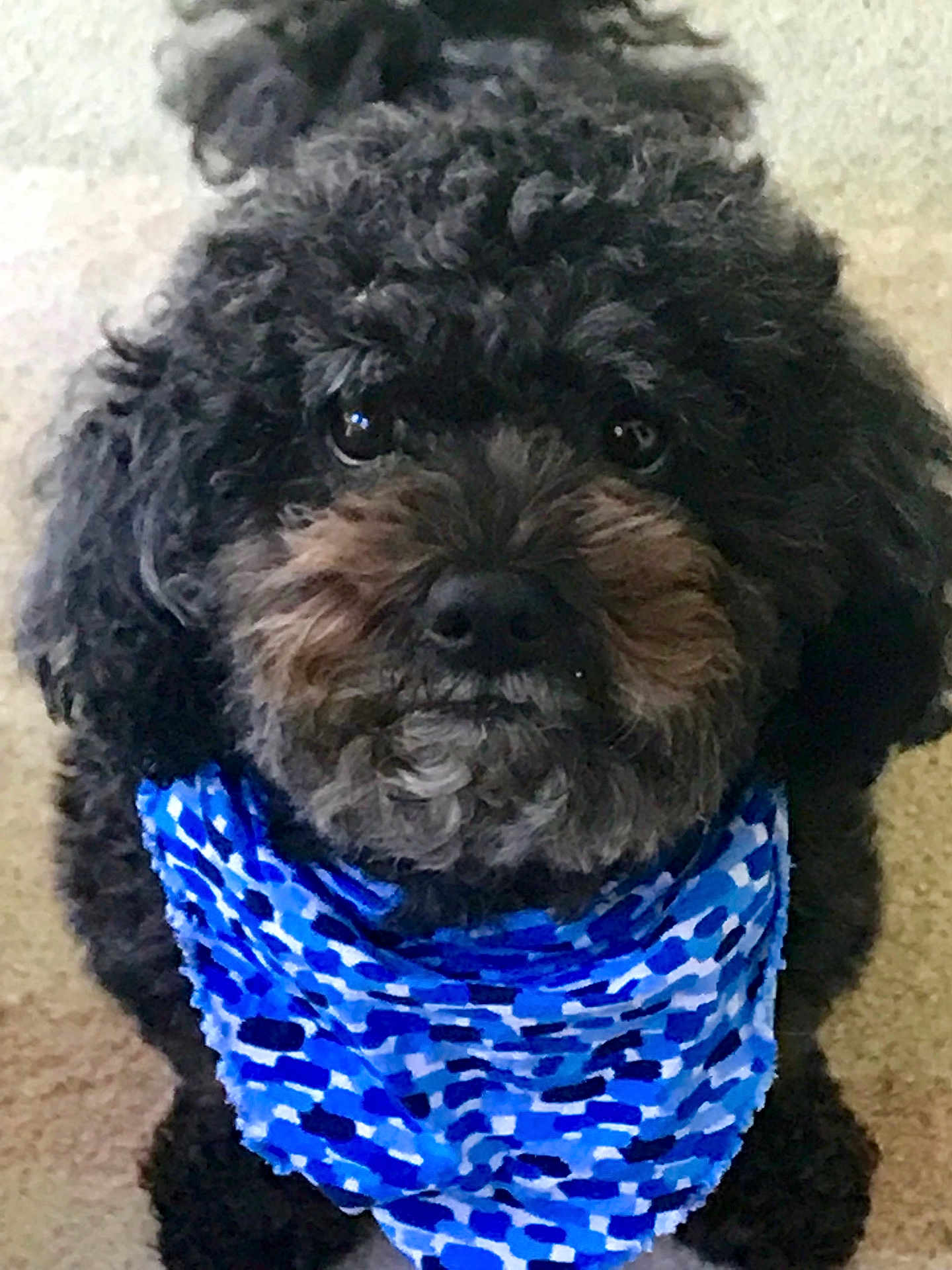 Marley