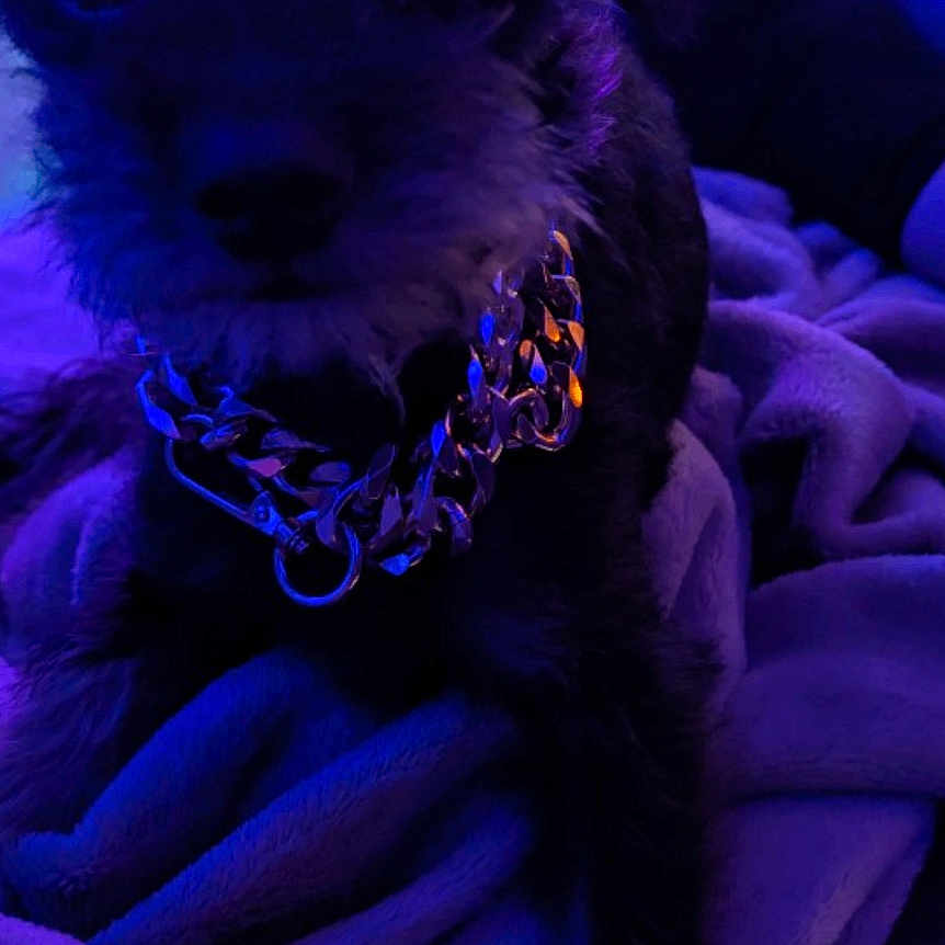 Louie