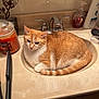bathroom, bottle, candle, cat, comb, countertop, curled_up, domestic, faucet, fur, hairbrush, indoor, orange_cat, pet, pumpkin_spice, relaxed, resting, sink, tile_wall, white_cat