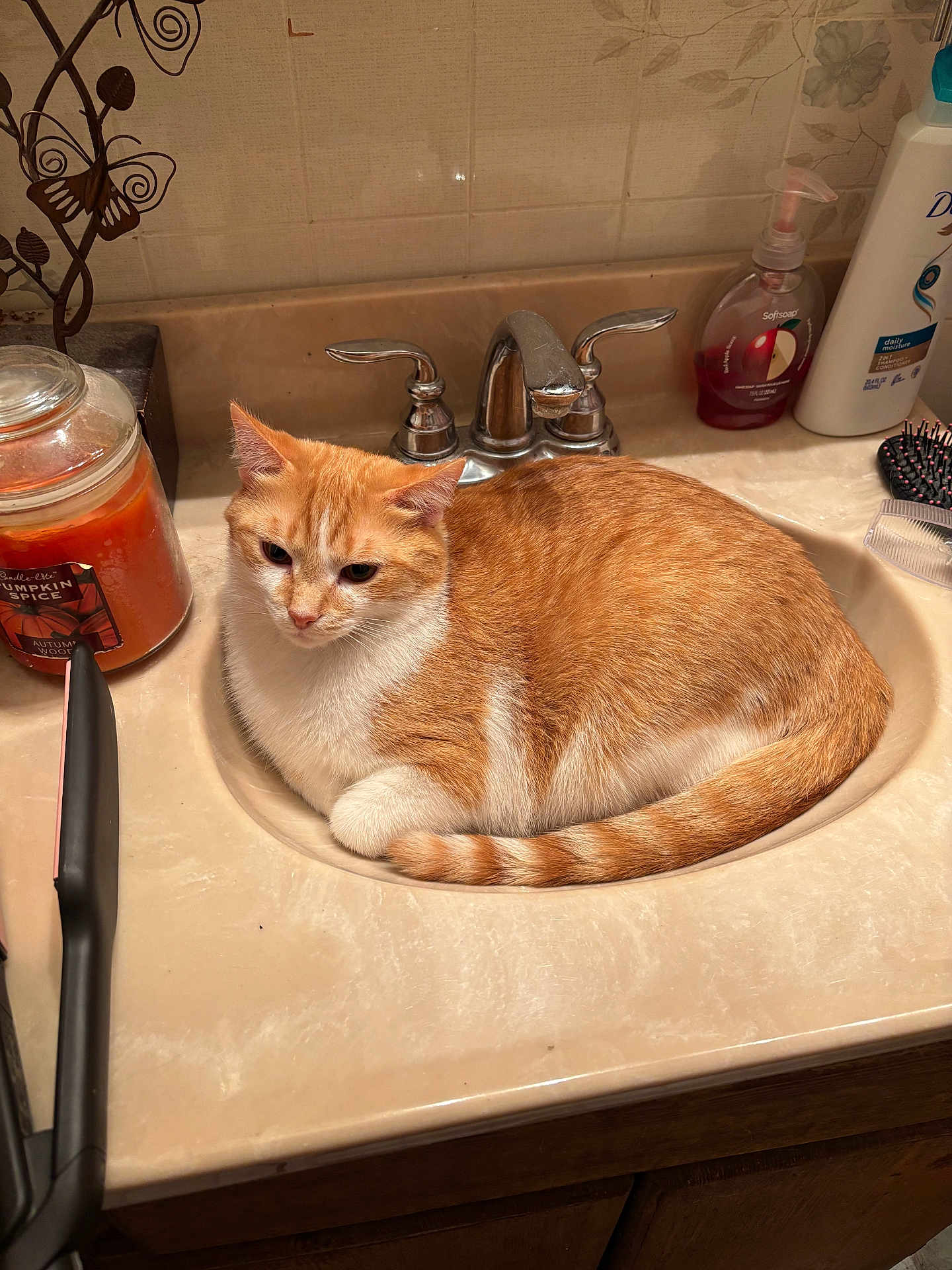 Butterscotch