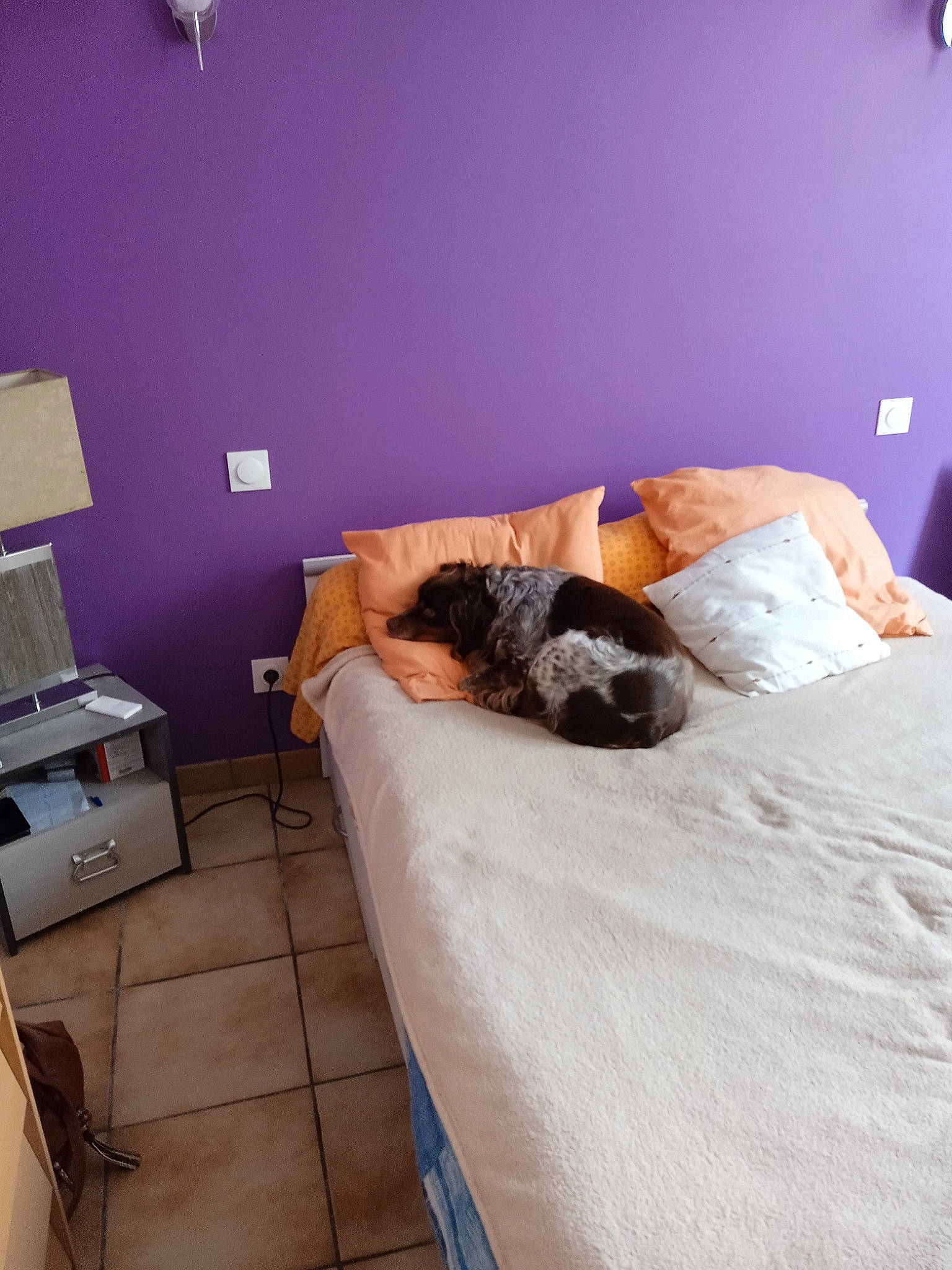 Maho participe au concours pour gagner de l'argent avec cette photo : bed, bed_frame, bed_sheet, bedding, bedroom, building, ceiling, comfort, floor, flooring, hardwood, interior_design, linens, mattress, nightstand, office_supplies, printer, property, room, wood