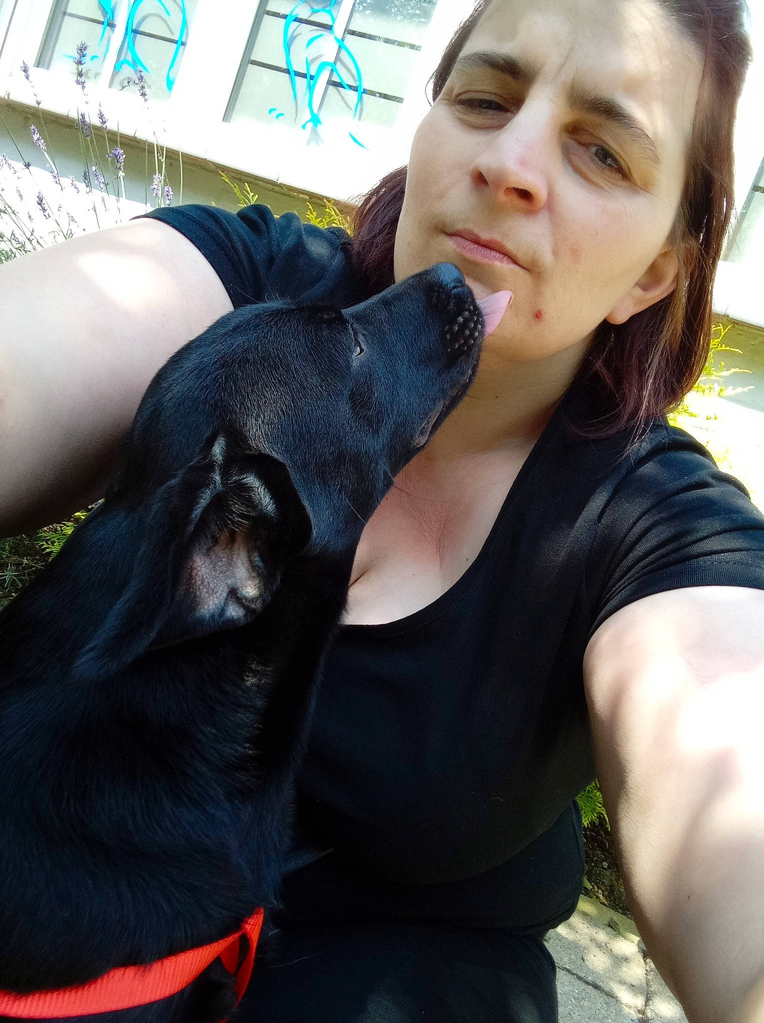 Poupette participe au concours pour gagner de l'argent avec cette photo : arm, blue, carnivore, chest, companion_dog, dog, dog_breed, dress, elbow, eyewear, face, fawn, finger, gesture, happy, lip, long_hair, organ, t_shirt, thigh