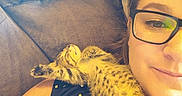 Beans joined the competition — help win amazing prizes! person, glasses, kitten, cat, resting, couch, polka_dot, shirt, relaxation, indoor, close_up, feline, pet, sleeping, cozy, comfort, young_cat, fur, spots, stretching